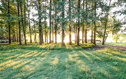 利好政策频出台 农村污水治理蕴藏千亿市场机遇
